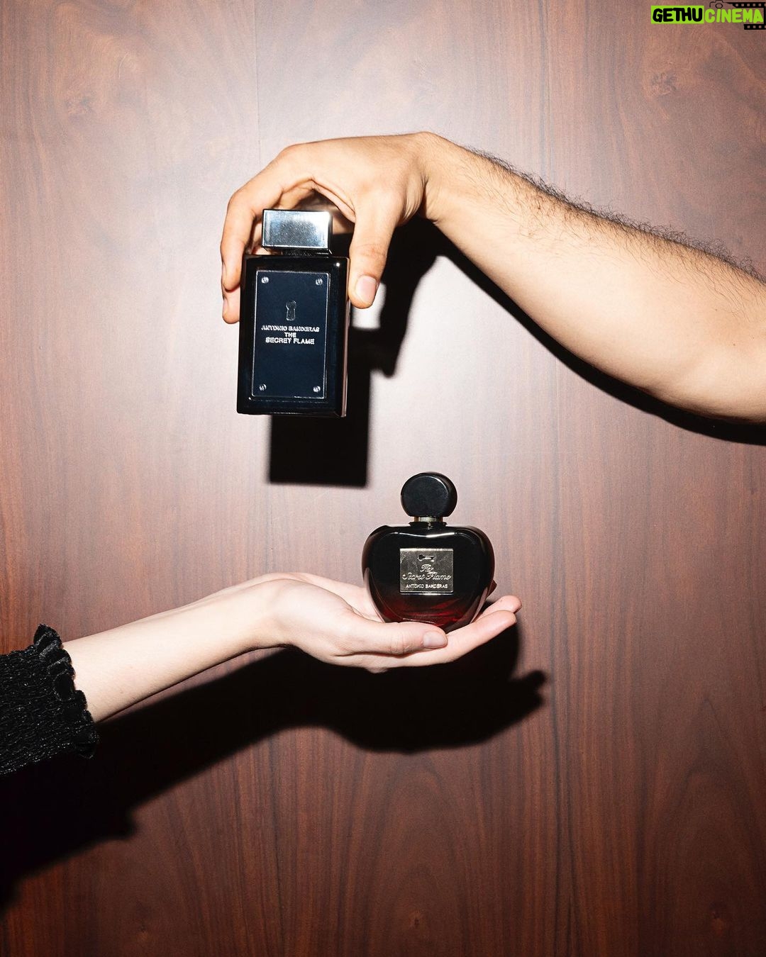 Sophia Abrahão Instagram - The Secret Flame e Her Secret Flame são as novas fragrâncias de @antoniobanderas 🔥 Inspiradas na arte da sedução, é um duo quente, doce e com um toque picante. Diferente de tudo que a gente já viu ❤️ Sinta essas sensações você também. #SecretFlame #BANDERASperfumes • Publicidade