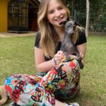 Sophia Valverde Instagram - Hoje é o aniversário de 2 aninhos da Charlotte 🥰 @clube_salatino Charlotte é uma cachorrinha especial, cheia de energia, carinhosa, companheira, que ama dormir comigo, que ama passear… O tempo voa e ela já está completando 2 anos ❤️ Quero ver todo mundo desejando um aniversário para o meu meu amorzinho: @amoresdasophiavalverde 🎂 #galgo #aniversario #happybirthday #amo #greyhound #clubesalatino Canil Salatino
