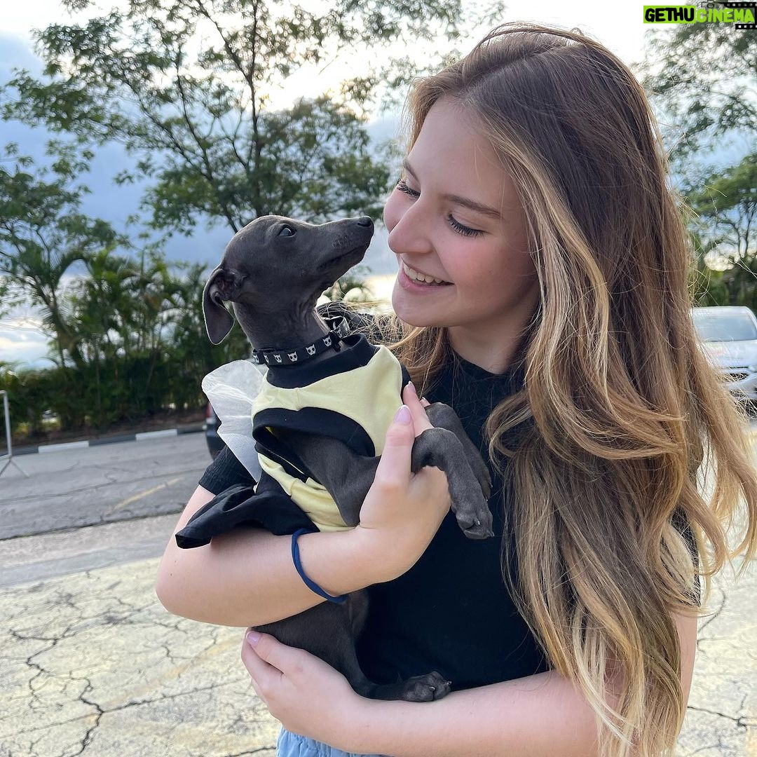 Sophia Valverde Instagram - Hoje é o aniversário de 2 aninhos da Charlotte 🥰 @clube_salatino Charlotte é uma cachorrinha especial, cheia de energia, carinhosa, companheira, que ama dormir comigo, que ama passear… O tempo voa e ela já está completando 2 anos ❤️ Quero ver todo mundo desejando um aniversário para o meu meu amorzinho: @amoresdasophiavalverde 🎂 #galgo #aniversario #happybirthday #amo #greyhound #clubesalatino Canil Salatino