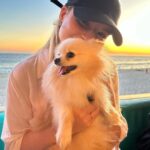 Sophia Valverde Instagram – Um #tbt atrasado mas com os melhores encontros sempre 🥰 

Quem aí ama os animais? ❤️

#tbt #photooftheday #amo #pet #animais #petlovers #maisamor #dogsofinstagram #cat #catlovers