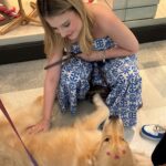 Sophia Valverde Instagram – Um #tbt atrasado mas com os melhores encontros sempre 🥰
Quem aí ama os animais? ❤️
#tbt #photooftheday #amo #pet #animais #petlovers #maisamor #dogsofinstagram #cat #catlovers