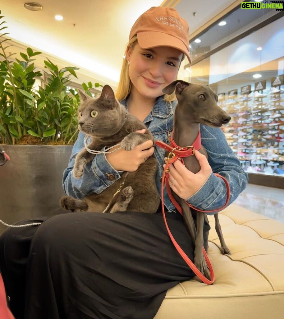 Sophia Valverde Instagram - Companheiras de passeio 💟 Vcs tb tem filhos pets? 🥰 Coloquem nos comentários se sim ou não e os nomes de cada pet de vcs 😍 #amo #pets #doglovers #catlovers #izzie #charlotte #greyhound #cat #dog #salatino