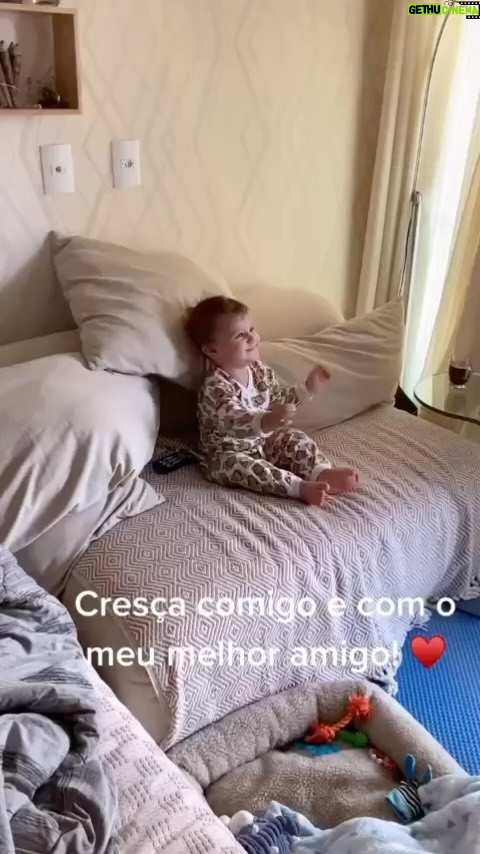 Sophia Valverde Instagram - Melhor vídeo ❤️ @magnogalgo Saudades da Charlotte que está no hotel do @clube_salatino 🥰 @amoresdasophiavalverde ❤️ #amor #verdadeiro #happiness #galgo #greyhound #dog #doglovers #magnogalgo