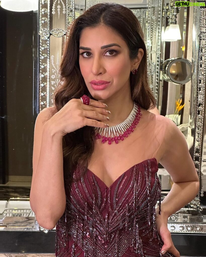 Sophie Choudry Instagram - Another day, another gig 🎤🎵 #gratitude #giglife Outfit @bhawnaraoluxury Styling @tanimakhosla Necklace and ring @maiiarabymn Earrings @hybajewels HMU @ambereenyusuf #redredwine #redcarpetlook #bathroomdiaries #bts #sophiechoudry #styleinspo