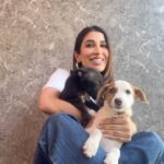 Sophie Choudry Instagram - The amazing @worldforallanimaladoptions is holding their adoptathon on 9/10 December in Bandra West… if you are looking to expand your family with a pet doggy or cat this is the perfect place to give a rescued baby a second chance at life❤️🐶🐱… #adoptdontshop #adoptathon #worldforall #doglovers #sophiechoudry