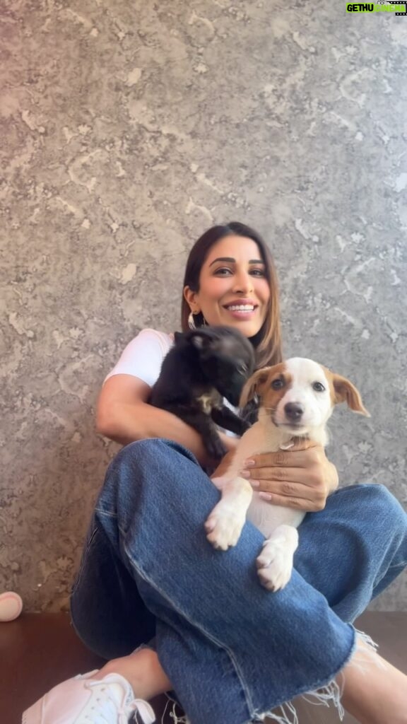 Sophie Choudry Instagram - The amazing @worldforallanimaladoptions is holding their adoptathon on 9/10 December in Bandra West… if you are looking to expand your family with a pet doggy or cat this is the perfect place to give a rescued baby a second chance at life❤🐶🐱… #adoptdontshop #adoptathon #worldforall #doglovers #sophiechoudry