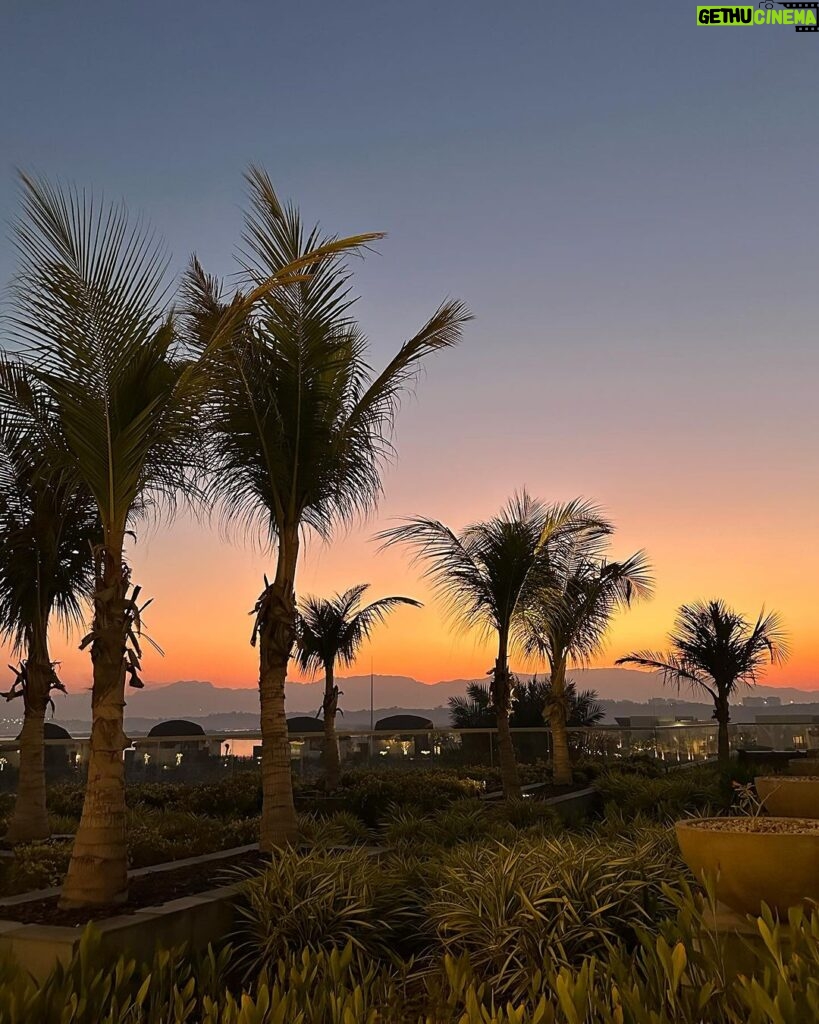 Sophie Choudry Instagram - Forever catching sunsets, flights & feelings 😋💕🤲🏼🙏🏼🎤 #giglife #sophielive #teamsophie #traveldiaries #dubai #rasalkhaimah #sophiechoudry #sunset #sunsetlovers #sunrise #happiness #gratitude