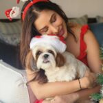 Sophie Choudry Instagram - Merry Xmas everyone! Hope your day was as full of love and yumminess as mine🌲❤️ #gratitude #xmas #christmasday #xmasfeels #christmastree #christmaslunch #littlereddress #santa #shihtzu #shihtzusofinstagram #foodcoma
