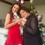 Sophie Choudry Instagram - Merry Xmas everyone! Hope your day was as full of love and yumminess as mine🌲❤️ #gratitude #xmas #christmasday #xmasfeels #christmastree #christmaslunch #littlereddress #santa #shihtzu #shihtzusofinstagram #foodcoma