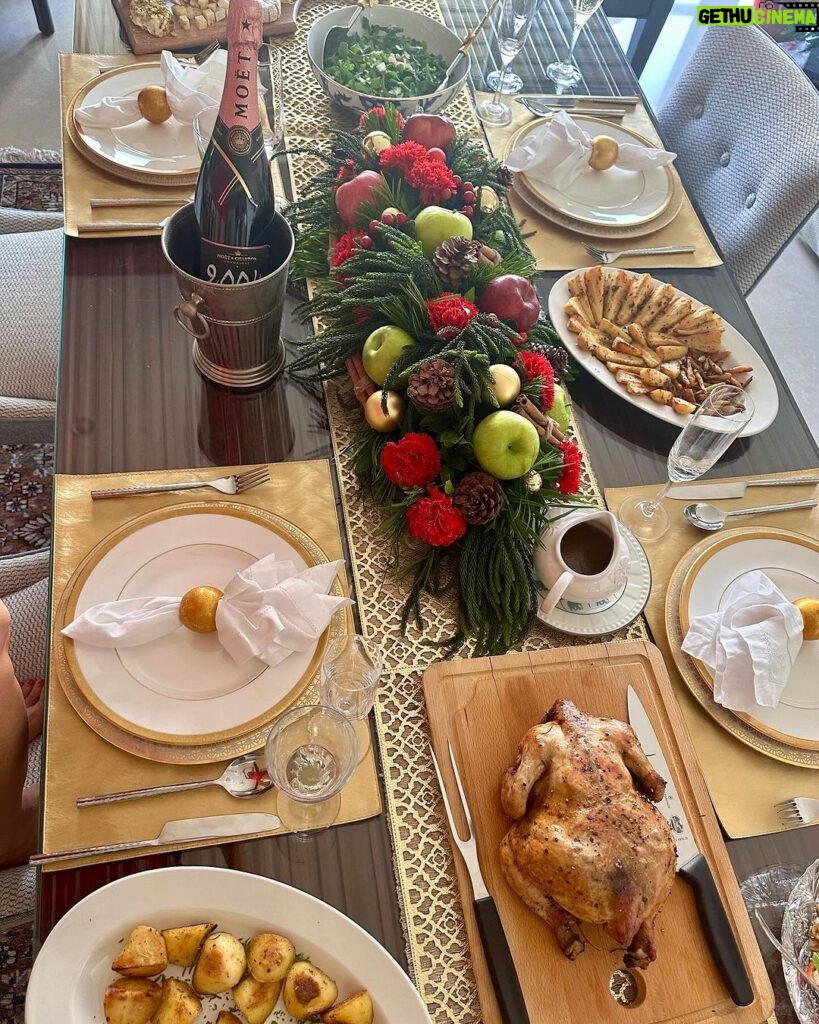 Sophie Choudry Instagram - Merry Xmas everyone! Hope your day was as full of love and yumminess as mine🌲❤️ #gratitude #xmas #christmasday #xmasfeels #christmastree #christmaslunch #littlereddress #santa #shihtzu #shihtzusofinstagram #foodcoma