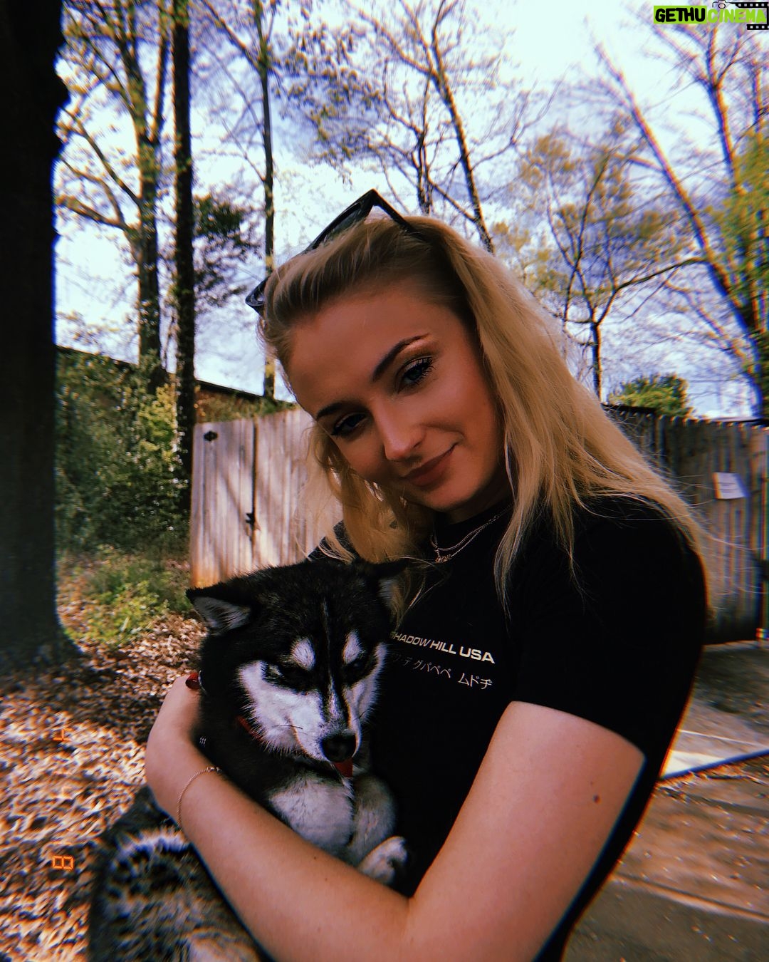 Sophie Turner Instagram - Welcome to the family @waldopicassojonas 🐶 ♥️ 💫