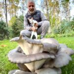 Soso Pavliashvili Instagram - Мы с моим персональным экспертом по грибам Лилу прикидываем, хватит ли этой вешенки на ужин всей семье?….