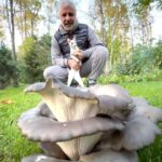 Soso Pavliashvili Instagram - Мы с моим персональным экспертом по грибам Лилу прикидываем, хватит ли этой вешенки на ужин всей семье?….