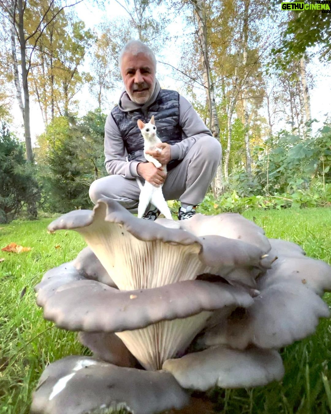 Soso Pavliashvili Instagram - Мы с моим персональным экспертом по грибам Лилу прикидываем, хватит ли этой вешенки на ужин всей семье?….