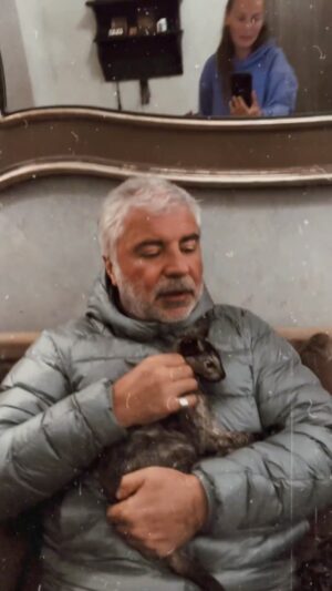 Soso Pavliashvili Instagram - После разлуки нас встретили лаской и мурчанием👌👌👌 Коты инопланетяне ☝️#сосопавлиашвили#иринапатлахпавлиашвили#коты#кошки#домашниеживотные#жизньпослеразлуки#жизньэтокайф