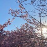 Soushi Sakiyama Instagram -