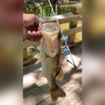 Spoken Reasons Instagram - “Teach a Man how to Fish... He Eats for a LIFETIME!” • @SpokeGangFishin • #FCHW ⚡️