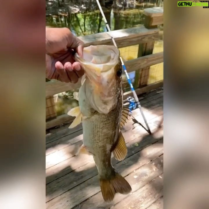 Spoken Reasons Instagram - “Teach a Man how to Fish... He Eats for a LIFETIME!” • @SpokeGangFishin • #FCHW ⚡️