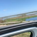 Spoken Reasons Instagram - You Already Know The Vibez ⚡️#FCHW • @SpokeGangFishin
