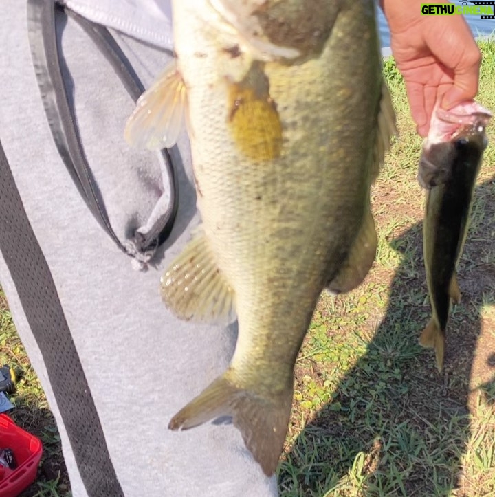 Spoken Reasons Instagram - Been bout a year since we hit the waters and pulled some hogs up! Last week lil mini me was mad because we ain’t even get a bite.. Told em we gone snatch some this time coming round.. God did us good ⚡️(Ice Cube Voice) “I gots to say… Today was a GOOD Day” 🐟 🐠 🎣 • @spokegangfishin #BassFishing #Fishing #FreshWaterFishing #Angler #FCHW #TopWaterFishing #BlackAngler #FloridaWildlife