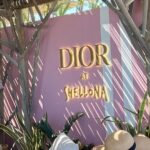 Stéfani Bays Instagram - Shellona - St Tropez