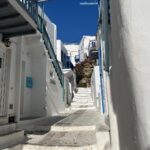 Stéfani Bays Instagram - Até breve Grécia!! 🇬🇷🧿♥️ Mykonos, Greece