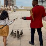 Stacey Leilua Instagram - More Memphis Magic today courtesy of @peabodymemphis and the incredible Duckmaster himself, @kenon_walker 🦆 🙌🏽 thank you SO much for what I know will become a cherished memory for us both - the smile was plastered on her face from beginning to end 🥰 thank you also to @rachelbelz for inviting us to walk! ❤️ #grateful #peabodyducks🦆 The Peabody Memphis