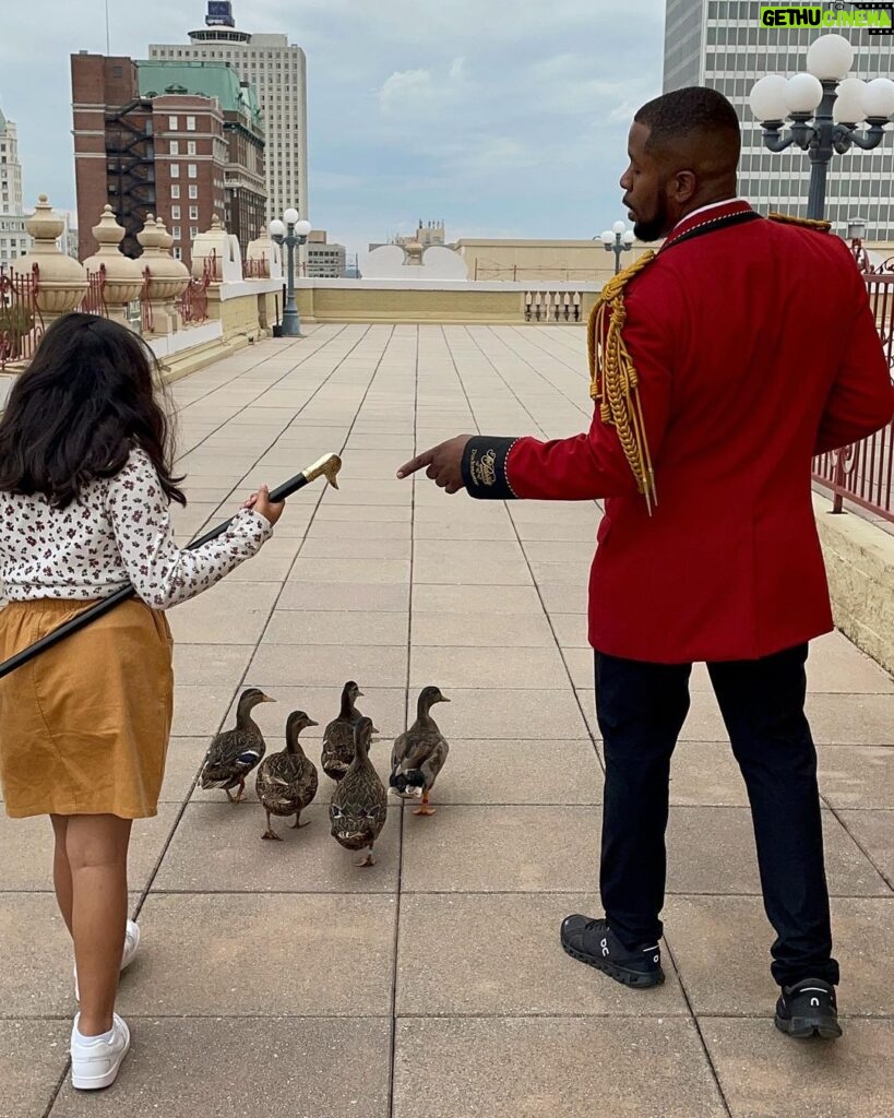 Stacey Leilua Instagram - More Memphis Magic today courtesy of @peabodymemphis and the incredible Duckmaster himself, @kenon_walker 🦆 🙌🏽 thank you SO much for what I know will become a cherished memory for us both - the smile was plastered on her face from beginning to end 🥰 thank you also to @rachelbelz for inviting us to walk! ❤️ #grateful #peabodyducks🦆 The Peabody Memphis