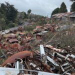 Stacey Leilua Instagram - 😍🎞️ A cool little visit to the Horopito Motor Wreckers today where Smash Palace and Goodbye Pork Pie were filmed.. 1981 was serving iconic NZ cinema! Category: car wrecks 😂🛻