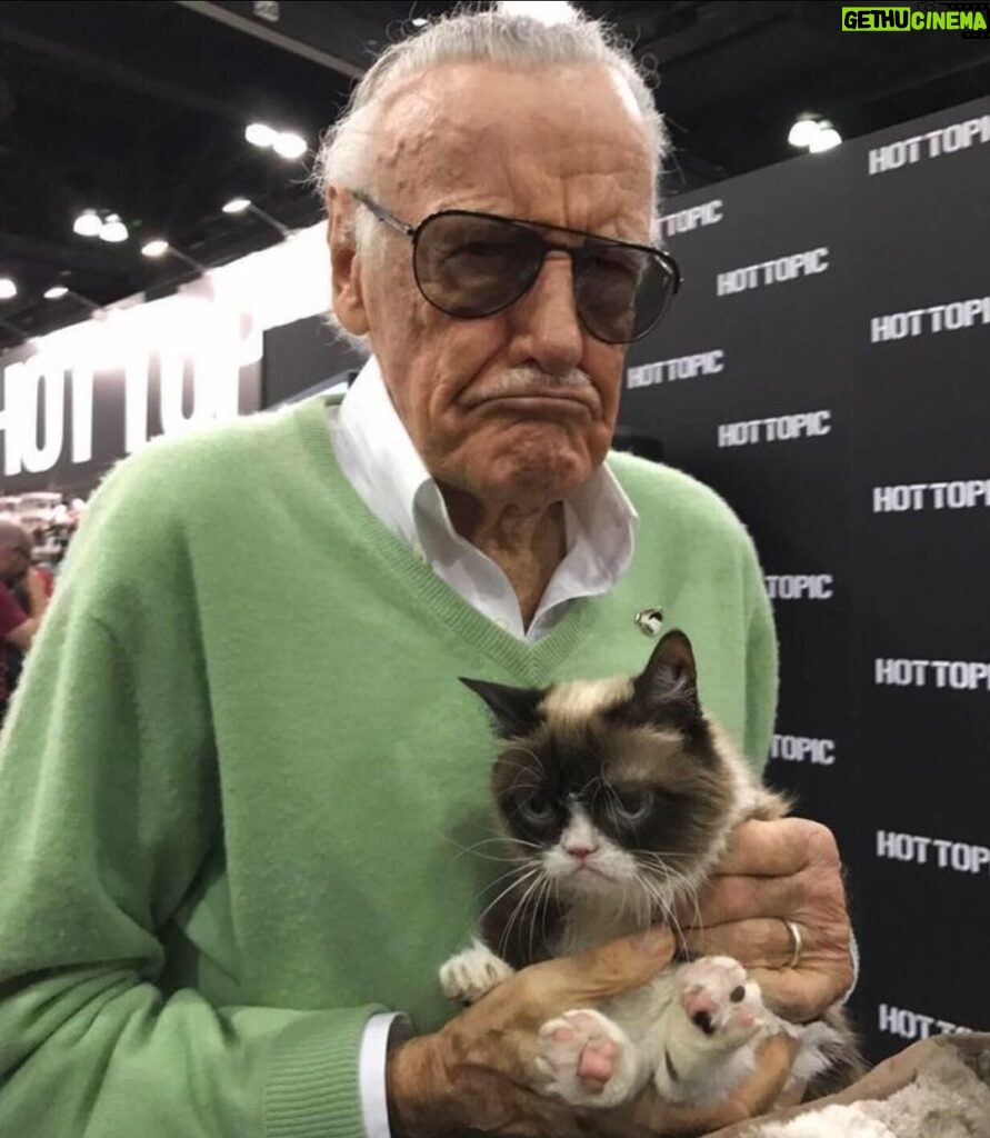 Stan Lee Instagram - Using #InternationalCatDay as an excuse to re-share one of the greatest photos of all time. #StanLee #GrumpyCat