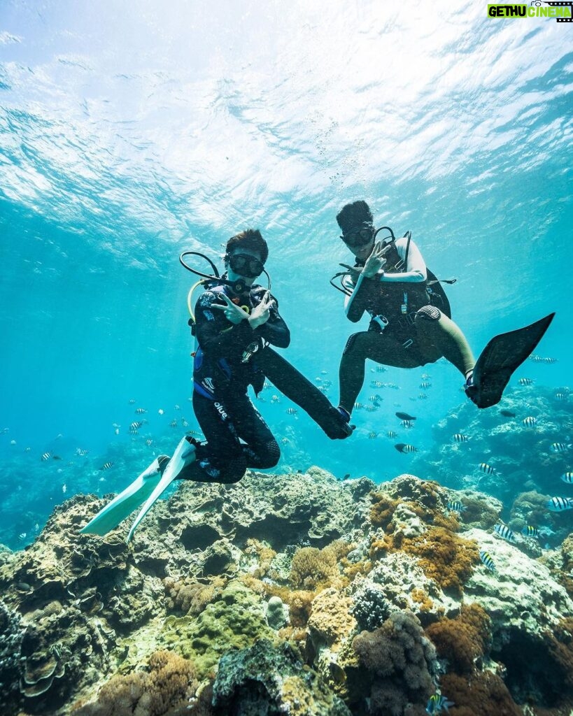 Stanley Yau Instagram - // 拍攝令我接觸潛水多了，潛水又令認識到好多好朋友! 綠島真的很美，值得一去，特別喜歡潛水的大家! 最後送上魔鬼魚bb同海龜bb給大家🫶🏻 #mirrorweare