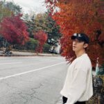 Stanley Yau Instagram - // 本身諗住拍吓紅葉，結果變咗枯葉😂 #mirrorweare