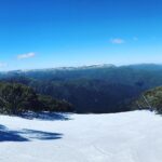 Stefan Dennis Instagram - Guess what I chose to do this weekend. Gorgeous isn’t it?