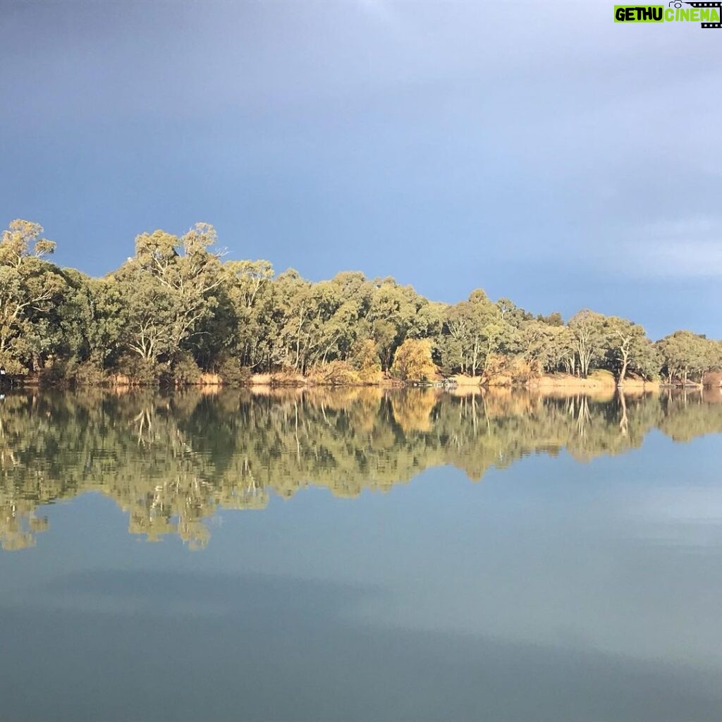 Stefan Dennis Instagram - On a houseboat on the Mighty Murray River and this is the sort stuff that makes the trip valuable.