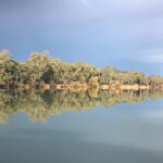 Stefan Dennis Instagram – On a houseboat on the Mighty Murray River and this is the sort stuff that makes the trip valuable.