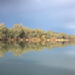 Stefan Dennis Instagram - On a houseboat on the Mighty Murray River and this is the sort stuff that makes the trip valuable.