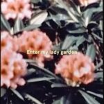 Stella McCartney Instagram - LADY GARDEN: This #VDay, join me in ensuring Vs everywhere are healthy by supporting the @LadyGardenFoundation. Every day in the UK, 21 people die from a gynaecological cancer and 57 more are diagnosed with one. The #LadyGardenFoundation is on a mission to end this – educating, empowering and breaking taboos around gynaecological health for Vs everywhere … x Stella Instead of buying cut flowers that are bad for the planet, support Lady Gardens everywhere this V-Day by donating to the Lady Garden Foundation at our link in bio.   Credits Video: Captured by @LouieSchwartzberg, filmmaker and director of @FantasticFungi #StellaMcCartney #ValentinesDay