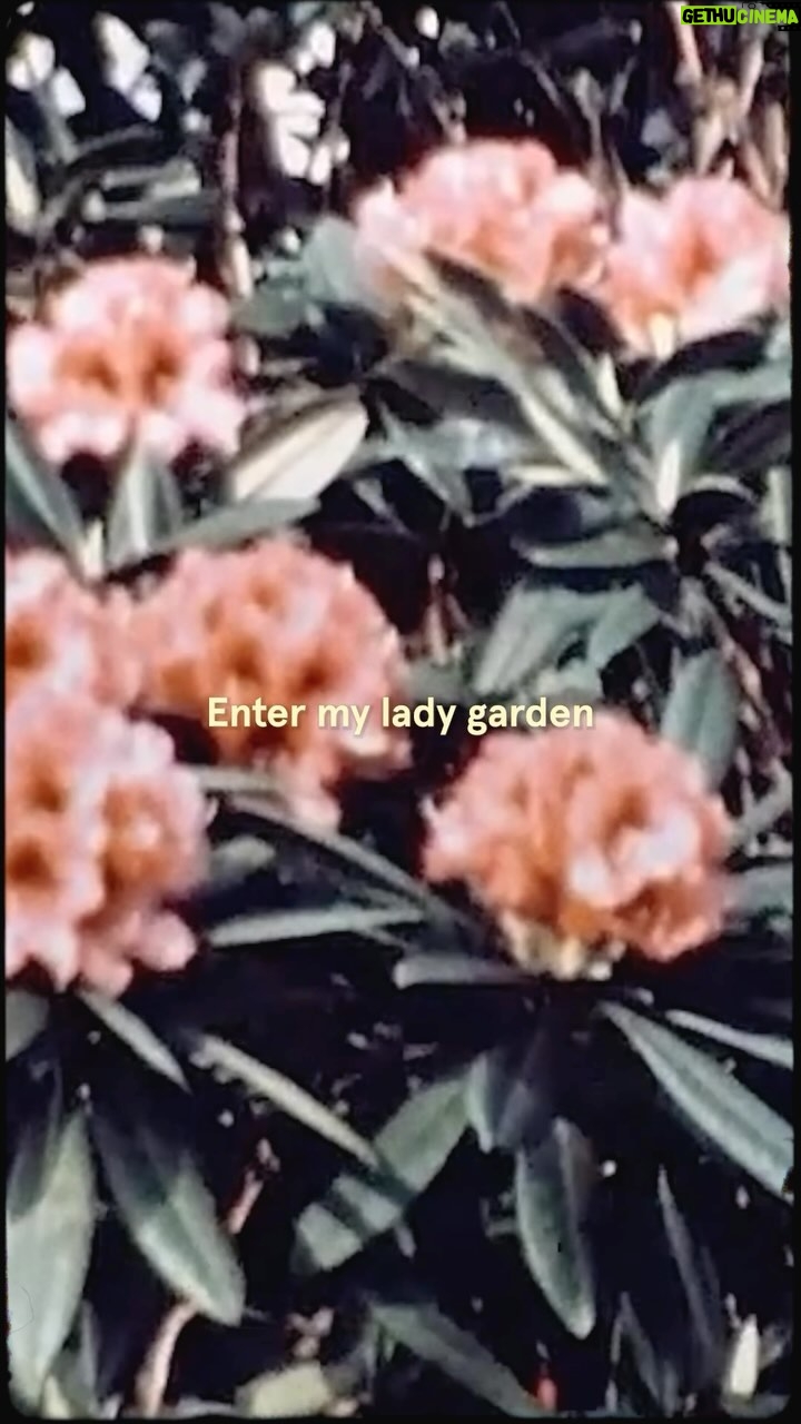 Stella McCartney Instagram - LADY GARDEN: This #VDay, join me in ensuring Vs everywhere are healthy by supporting the @LadyGardenFoundation. Every day in the UK, 21 people die from a gynaecological cancer and 57 more are diagnosed with one. The #LadyGardenFoundation is on a mission to end this – educating, empowering and breaking taboos around gynaecological health for Vs everywhere … x Stella Instead of buying cut flowers that are bad for the planet, support Lady Gardens everywhere this V-Day by donating to the Lady Garden Foundation at our link in bio. Credits Video: Captured by @LouieSchwartzberg, filmmaker and director of @FantasticFungi #StellaMcCartney #ValentinesDay
