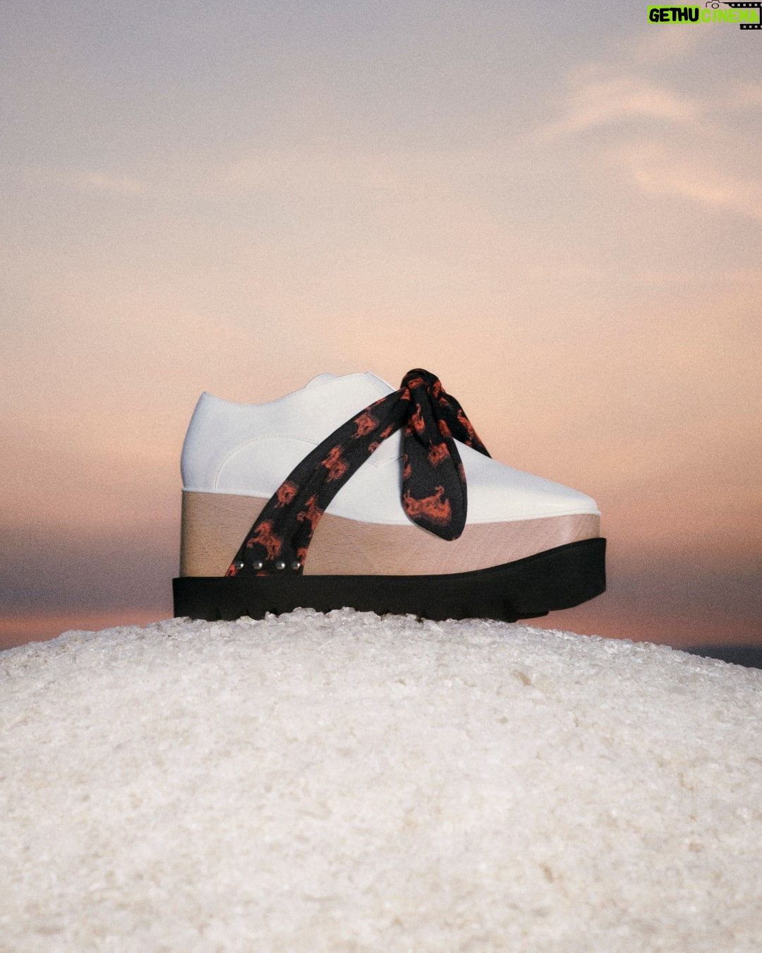 Stella McCartney Instagram - HORSE POWER: Over 23,000 American horses are sent to slaughter in Canada and Mexico every year, often travelling for over 24 hours without food, water or rest. No creature was harmed to create our iconic #Elyse platform shoe, down to its #vegan water-based and solventless glues. Its wedge sole is crafted from FSC-certified beech wood, protecting ancient and endangered forests. Shop #StellaWinter23 in-store and at stellamccartney.com. #StellaMcCartney #crueltyfree