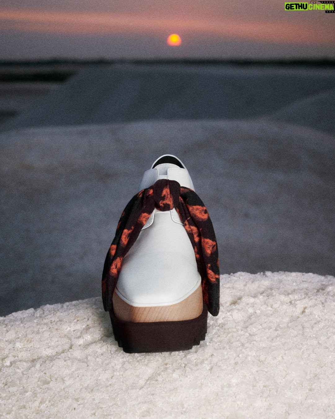 Stella McCartney Instagram - HORSE POWER: Over 23,000 American horses are sent to slaughter in Canada and Mexico every year, often travelling for over 24 hours without food, water or rest. No creature was harmed to create our iconic #Elyse platform shoe, down to its #vegan water-based and solventless glues. Its wedge sole is crafted from FSC-certified beech wood, protecting ancient and endangered forests. Shop #StellaWinter23 in-store and at stellamccartney.com. #StellaMcCartney #crueltyfree