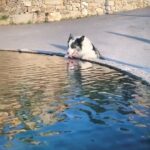Steph Bumelcrownd Instagram – Hoyos del Espino, Spain