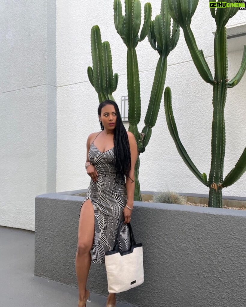 Stephanie Charles Instagram - Slide 1,2, & 3 are all saying: “come and talk to me. I really wanna meet you. Can I talk to you? I really wanna know you (I wanna know you)” Like an #oldschool 90s Jodeci lyrics while I’m out here living that cactus life in a zebra dress😘 📸me #stephaniecharles #90srnb