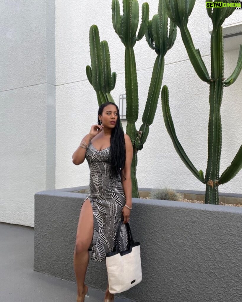 Stephanie Charles Instagram - Slide 1,2, & 3 are all saying: “come and talk to me. I really wanna meet you. Can I talk to you? I really wanna know you (I wanna know you)” Like an #oldschool 90s Jodeci lyrics while I’m out here living that cactus life in a zebra dress😘 📸me #stephaniecharles #90srnb