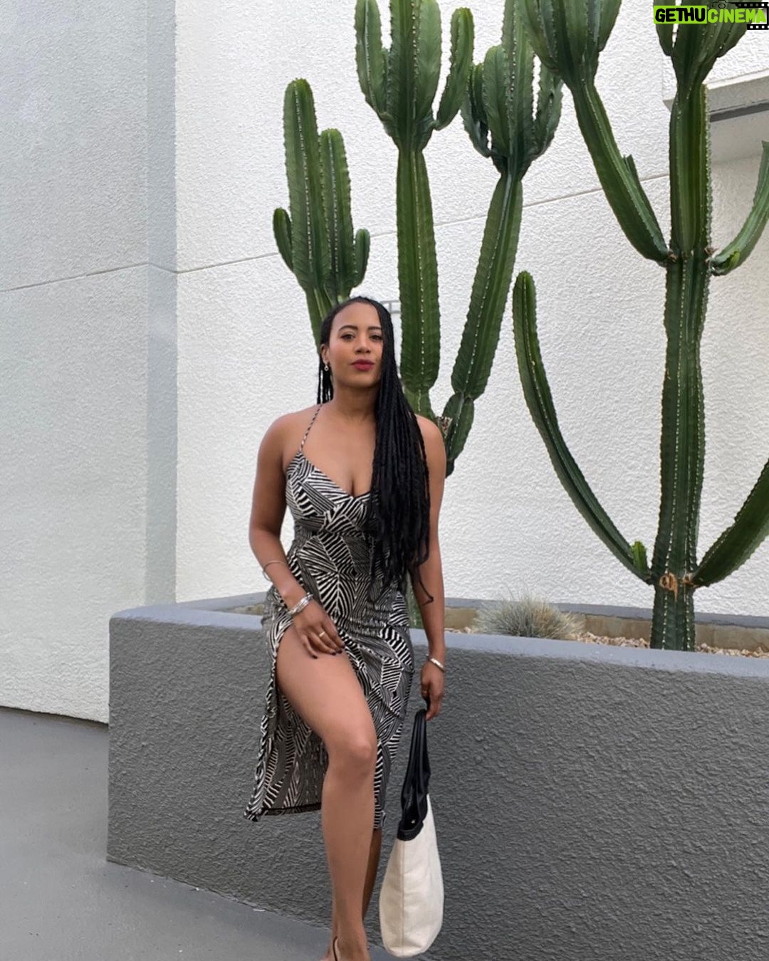 Stephanie Charles Instagram - Slide 1,2, & 3 are all saying: “come and talk to me. I really wanna meet you. Can I talk to you? I really wanna know you (I wanna know you)” Like an #oldschool 90s Jodeci lyrics while I’m out here living that cactus life in a zebra dress😘 📸me #stephaniecharles #90srnb