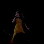 Stephanie Styles Instagram - Taylor is my boyfriend. Taylor is a god. Taylor is the breeze in my hair on the weekend. ✨🧹💎🍋 #latstheerastour #taylorswift #tstheerastour SoFi Stadium