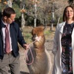 Stephanie Styles Instagram - Words cannot express how much I love these human beings and this show. I am overflowing with happiness and gratitude and just can’t believe I can finally say…here’s a first look at LOOT a new comedy series from Alan Yang and Matt Hubbard starring Maya Rudolph, Michaela Jaé, Joel Kim Booster, Ron Funches, Nat Faxon, Meagen Fay, Adam Scott, and yours truly premiering June 24th on @appletvplus !! #Loot