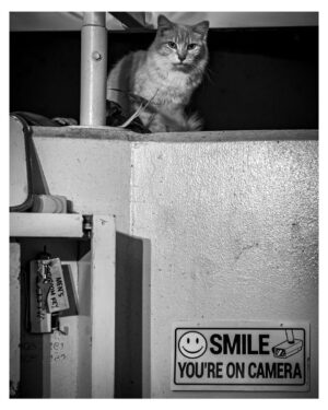 Stephen Hill Instagram - I am smiling

#stephenhillphotos #blackandwhitephotography #balance