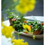 Stephen Hill Instagram – Avo at Arvo

Avocado Toast.

This was the homie @prasiolitelink meal… I can’t get with the Arugala. Reminds me of getting tackled in football and getting grass in my mouth.
The Salmon Toast, though. 🤌🏿
Definitely a great spot to hit up in Honolulu.

#stephenhillphotos
#leicaphoto
#foodphotography #avocadotoast ARVO