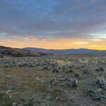 Steve Austin Instagram - Back home after spending a few days with @nevadahuntingservices in unit 012. Goddam, what a blast. Mitch is a helluva guide and it seems every adventure is more epic than the one before.. Thank you, brother Mitch. Looking forward to the next one. #nevada #muledeer #deer #usa #america #horses #hunting #camping #outdoors #nevadahuntingservices