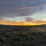 Steve Austin Instagram - Back home after spending a few days with @nevadahuntingservices in unit 012. Goddam, what a blast. Mitch is a helluva guide and it seems every adventure is more epic than the one before.. Thank you, brother Mitch. Looking forward to the next one. #nevada #muledeer #deer #usa #america #horses #hunting #camping #outdoors #nevadahuntingservices